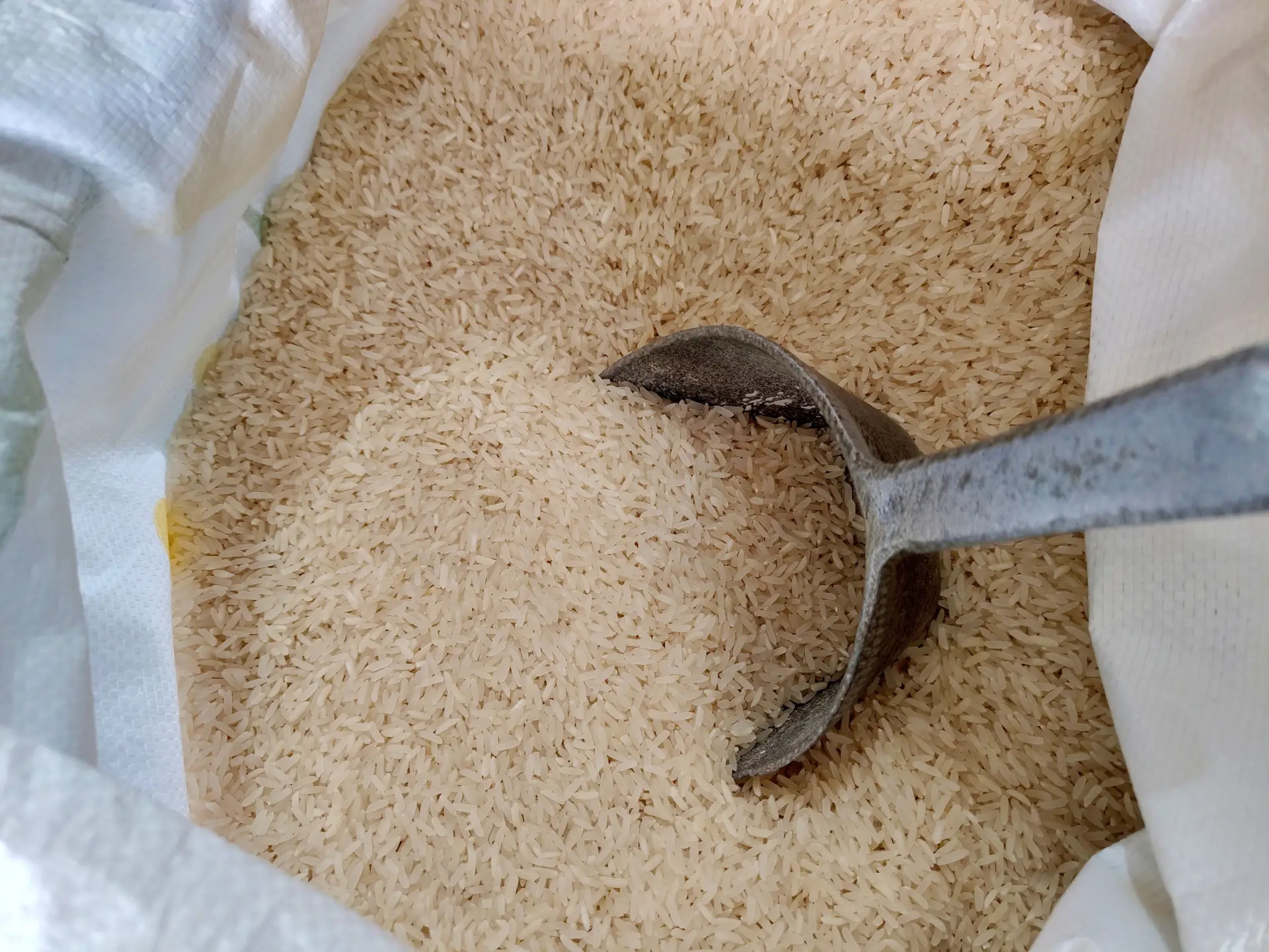 rice